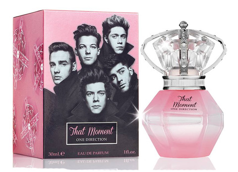 One-Direction-That-Moment-2